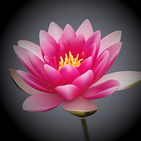 Gradient Mesh — Lily