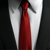 Gradient Mesh — Tie